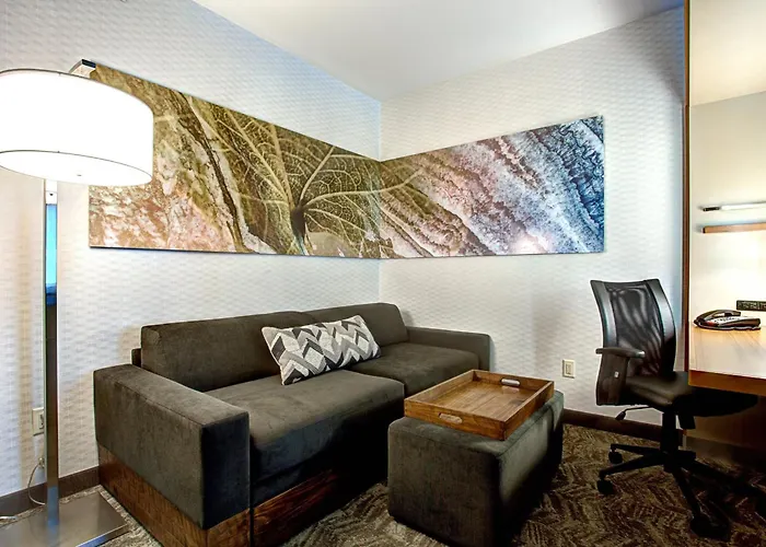 Springhill Suites By Marriott Harrisburg Hershey